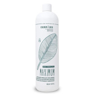 Дълбоко хидратиращ и освежаващ балсам BES Colour Lock Maximum Moisture Conditioner 1000ml