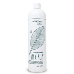 Дълбоко хидратиращ и освежаващ балсам BES Colour Lock Maximum Moisture Conditioner 1000ml
