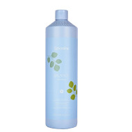 Балансиращ шампоан против пърхот ECHOSLINE Balance Anti-Dandruff Shampoo 1000ml