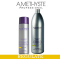 Amethyste Regulate – Себобалансираща серия