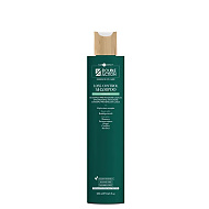 Шампоан против косопад HAIR COMPANY Double Action Loss Control Shampoo 250ml