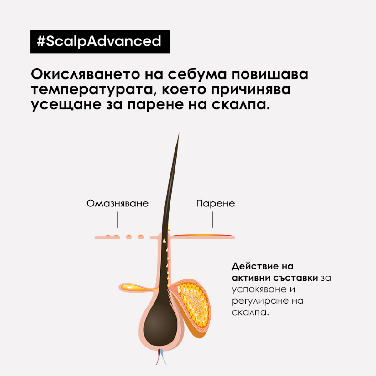 Дерморегулиращ шампоан за чувствителен скалп Loreal Professionnel Scalp Advanced Anti-Discomfort Shampoo 300ml