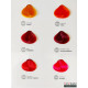 Изсветляваща боя в наситени цветове SERI Premium Special Meches 60ml 